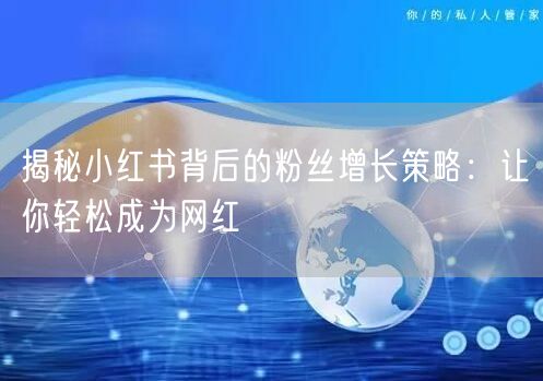 揭秘小红书背后的粉丝增长策略：让你轻松成为网红