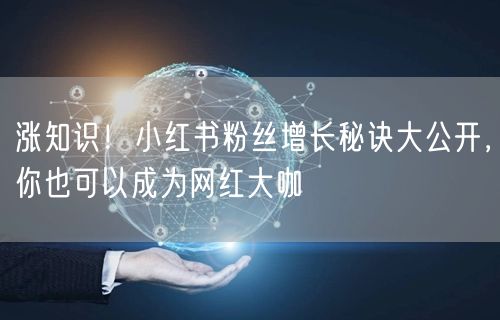 涨知识！小红书粉丝增长秘诀大公开，你也可以成为网红大咖