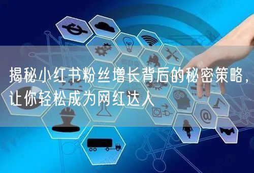揭秘小红书粉丝增长背后的秘密策略，让你轻松成为网红达人